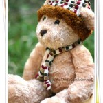 Teddy Bear with Musicbox